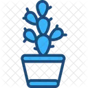 Cactus Plant Nature Icon