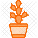 Cactus Plant Nature Icon