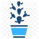 Cactus Plant Nature Icon