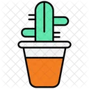 Cactus Plant Nature Icon