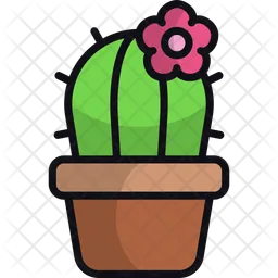 Cactus  Icono