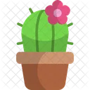 Cactus  Icono