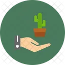 Cactus  Icono