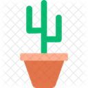 Cactus  Icono