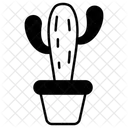Cactus  Icon