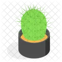 Cactus Planta Decorativa Icono