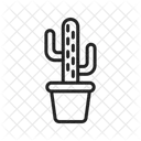Cactus  Icon