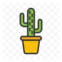 Cactus  Icône
