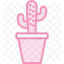Cactus  Icon