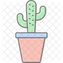 Cactus  Icon