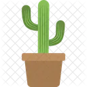 Cactus Potted Small Icon