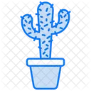 Cactus  Icon