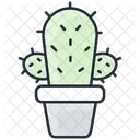 Cactus  Icon