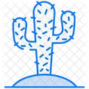 Cactus  Icon