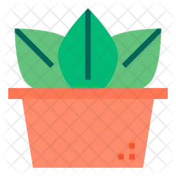 Cactus  Icono