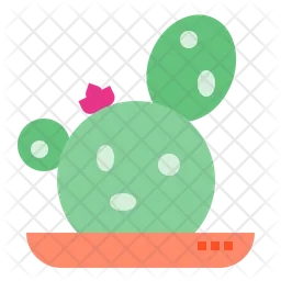 Cactus  Icon