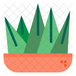 Cactus  Icon