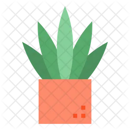 Cactus  Icon