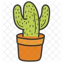 Cactus Cactus Plant Desert Cactus Icon
