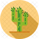 Cactus  Icono