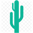 Generic Cactus Desert Icon