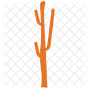 Generic Cactus Desert Icon