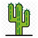 Cactus  Icône