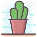Cactus Plantation Desert Plant Icon