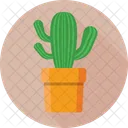 Cactus Plant Cactaceae Icon