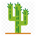 Cactus  Icono