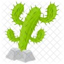 Cactus Pirate Cactus Monster Cactus Icon