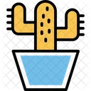 Cacti Cacto Cactus Icon