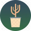Cactus Cactus Tree Generic Tree Icon