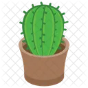 Cactus Wild Plant Succulent Icon