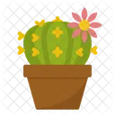 Cactus Ornamental Plant Icon