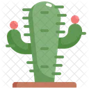 Cactus Tree Nature Icon