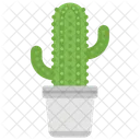 Wild Plant Cactus Succulent Icon