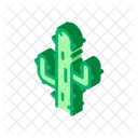 Cactus Desert Sandy Icon