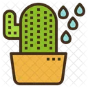 Cactus Succulent Gardening Icon