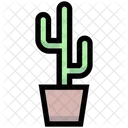Business Financial Cactus Icon