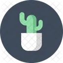 Cactus Decoration Growth Icon