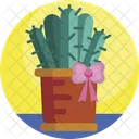 Gifts Gift Cactus Icon