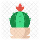 Cactus Garden Plant Icon