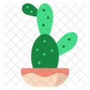 Cactus Nature Green Icon