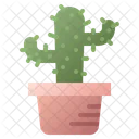 Cactus Pot Plant Icon