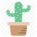 Cactus Pot Plant Icon