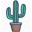 Cactus Maceta Cactus Icono