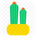 Cactus  Icono