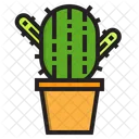 Cactus Cactus Plant Cactus Pot Icon