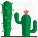 Cactus Desert Botanic Icon